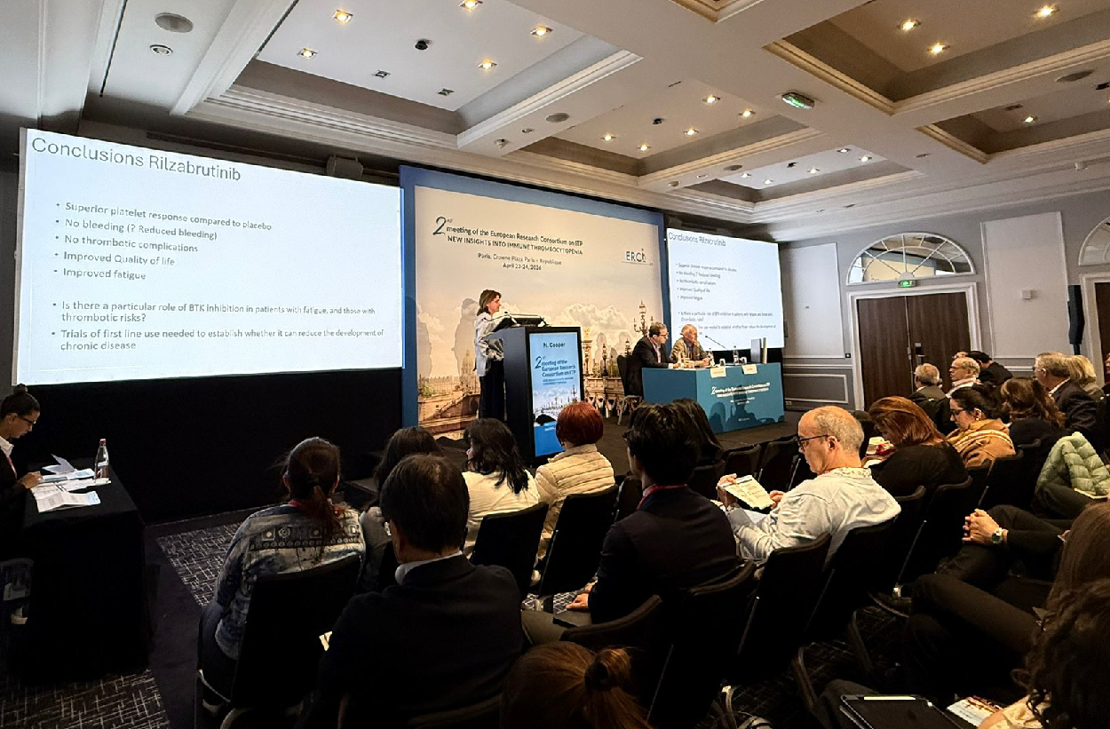 Strong Attendance at the Second ERCI Meeting in Paris